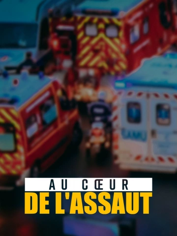 Au coeur de l'assaut