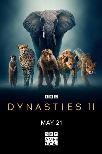 DYNASTIES ANIMALES - GUÉPARDS -