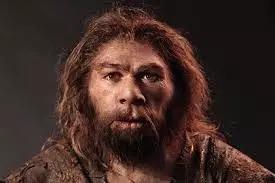 Homo sapiens, les nouvelles origines