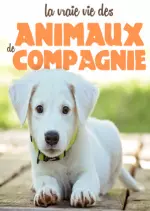 La Vraie Vie Des Animaux De Compagnie