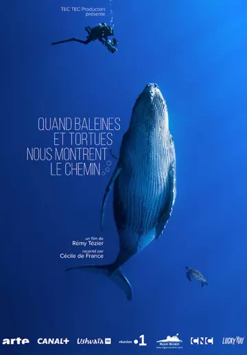 Quand baleines et tortues nous montrent le chemin