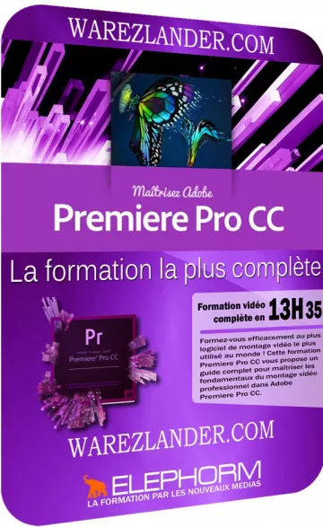 FORMATION - UDEMY - VIDEO EDITING COMPLETE COURSE | ADOBE PREMIERE PRO CC 2020  [Tutoriels]