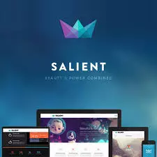 [WORDPRESS] SALIENT - RESPONSIVE MULTI-PURPOSE THEME [Webmaster]