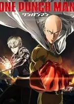 ONE PUNCH MAN - T01 À T17  [Mangas]