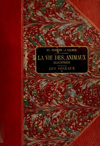 La vie des animaux illustrée • Les Oiseaux - Vol 2  [Livres]