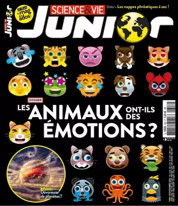 Science et Vie Junior N°398 – Novembre 2022  [Magazines]