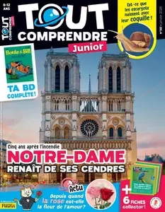 Tout Comprendre Junior - Janvier 2025  [Magazines]