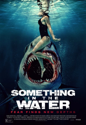 Something In The Water  [WEB-DL 1080p] - MULTI (FRENCH)