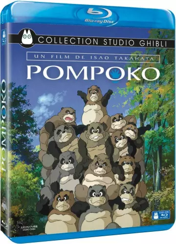 Pompoko [HDLIGHT 1080p] - MULTI (FRENCH)