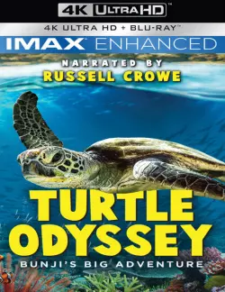 Turtle Odyssey  [BLURAY REMUX 4K] - MULTI (FRENCH)