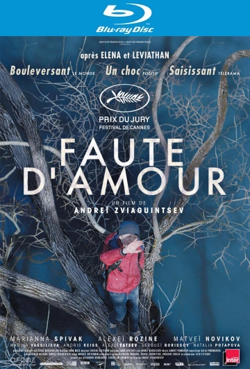 Faute d'amour  [HDLIGHT 1080p] - MULTI (FRENCH)