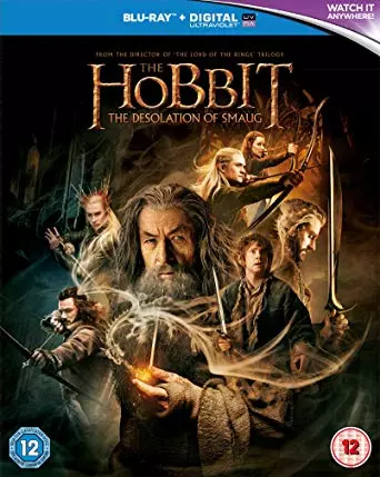 Le Hobbit : la Désolation de Smaug  [BLU-RAY 1080p] - MULTI (FRENCH)