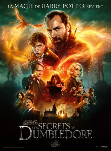 Les Animaux Fantastiques : les Secrets de Dumbledore  [HDRIP MD] - VOSTFR