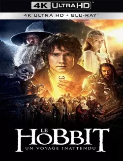 Le Hobbit : un voyage inattendu  [4K LIGHT] - MULTI (FRENCH)