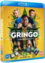 Gringo  [HDLIGHT 720p] - FRENCH