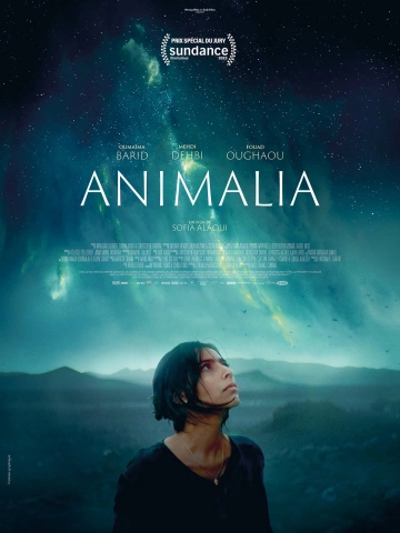 Animalia  [WEB-DL 1080p] - FRENCH