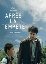 Après la tempête [BDRIP] - FRENCH