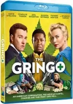 Gringo  [HDLIGHT 720p] - MULTI (TRUEFRENCH)