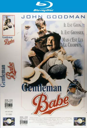 Gentleman Babe  [HDLIGHT 1080p] - MULTI (FRENCH)