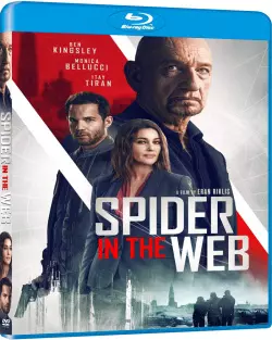 Spider in the Web  [HDLIGHT 1080p] - MULTI (FRENCH)