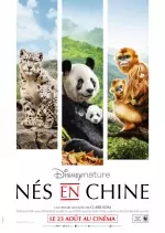 Nés en Chine  [BDRiP] - FRENCH