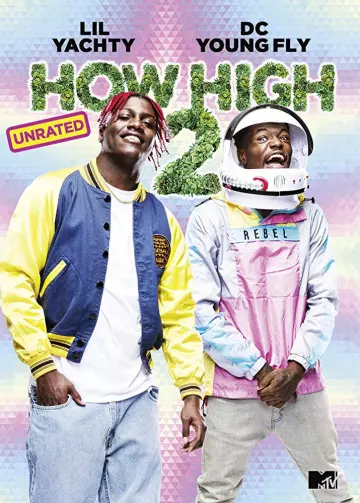 How High 2  [WEB-DL 1080p] - MULTI (FRENCH)