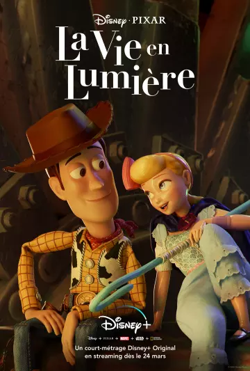 La Vie en lumière  [WEB-DL 4K] - MULTI (TRUEFRENCH)