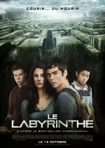 Le Labyrinthe  [BDRip XviD] - FRENCH