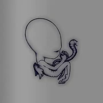 Sigur Rós - Ágætis byrjun - A Good Beginning (20th Anniversary Deluxe Edition)  [Albums]