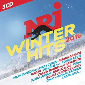 NRJ Winter Hits 2019  [Albums]